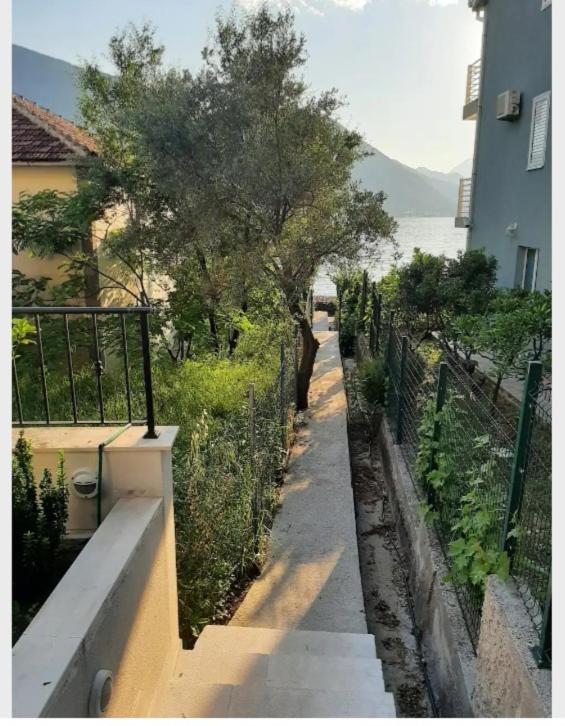 Apartments Boka Blue Dobrota Kotor Ngoại thất bức ảnh